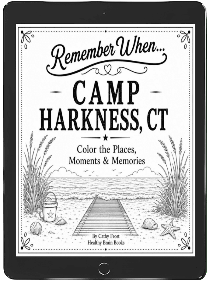 Book mockup preview showing cover design